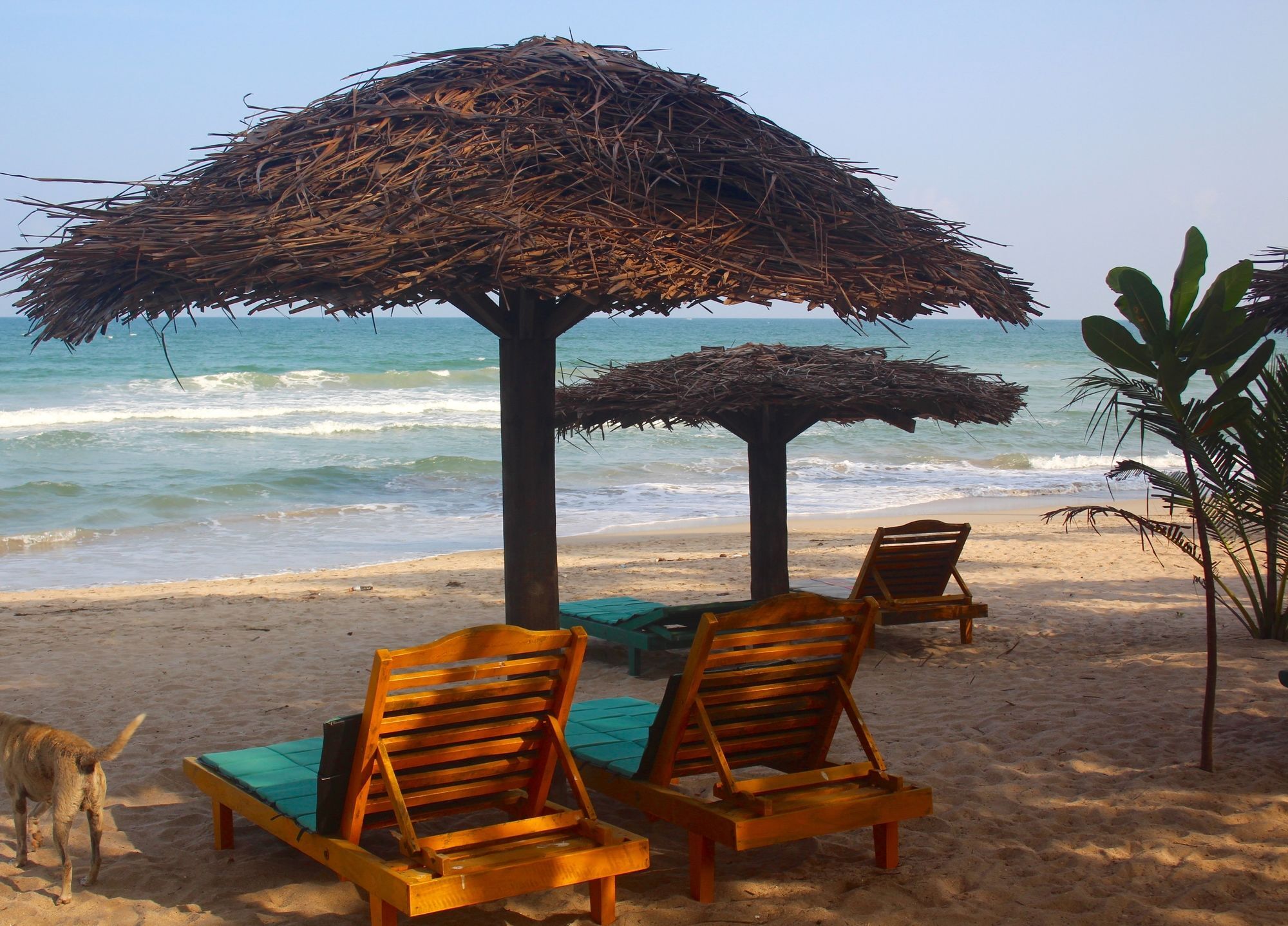 Golden Beach Cottages تريكونامالاي المظهر الخارجي الصورة